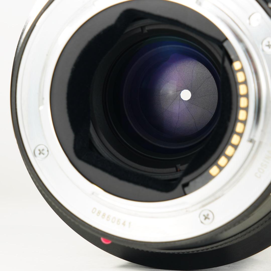 フォクトレンダー MACRO APO-LANTHAR 110mm F2.5