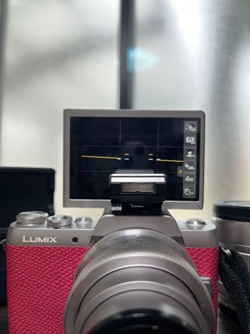 LUMIX G ミラーレスカメラ ピンク