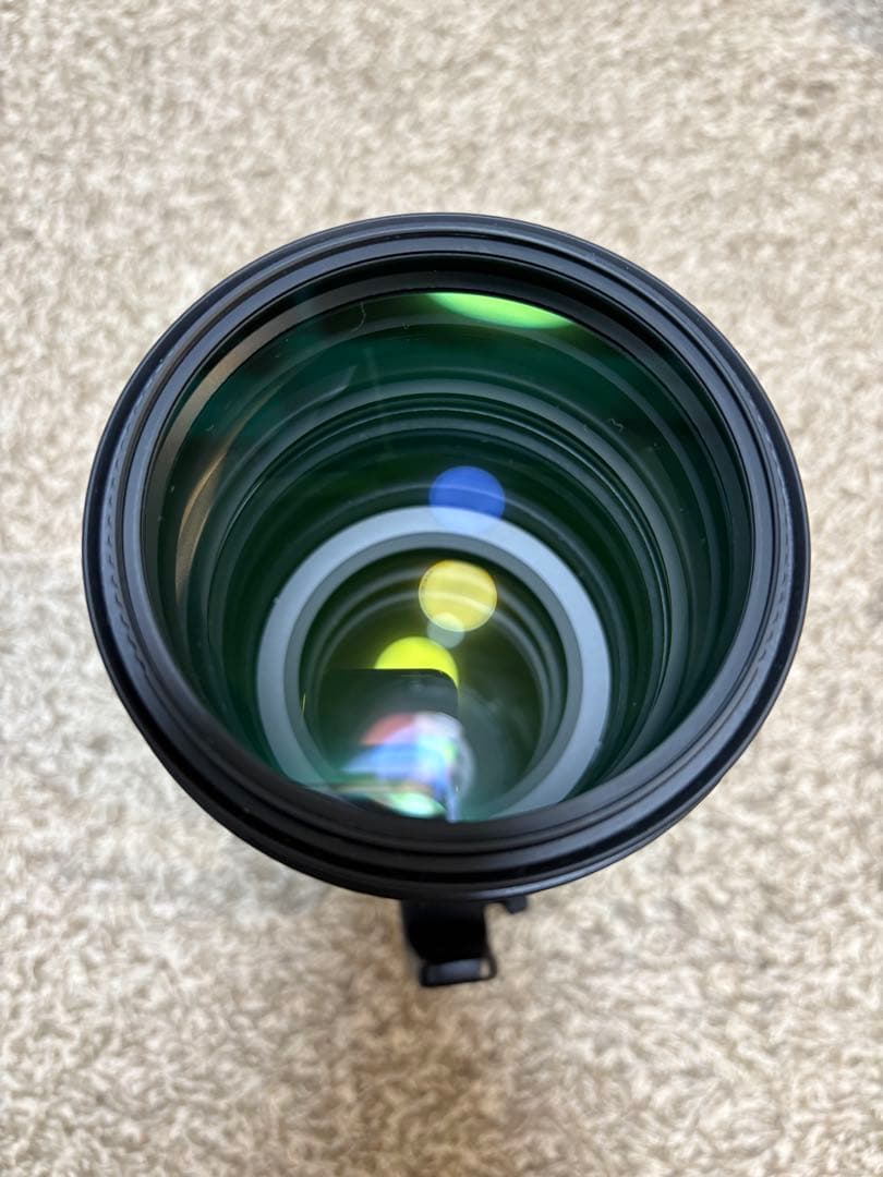 あじぽん　NIKKOR Z 180-600mm f/5.6-6.3