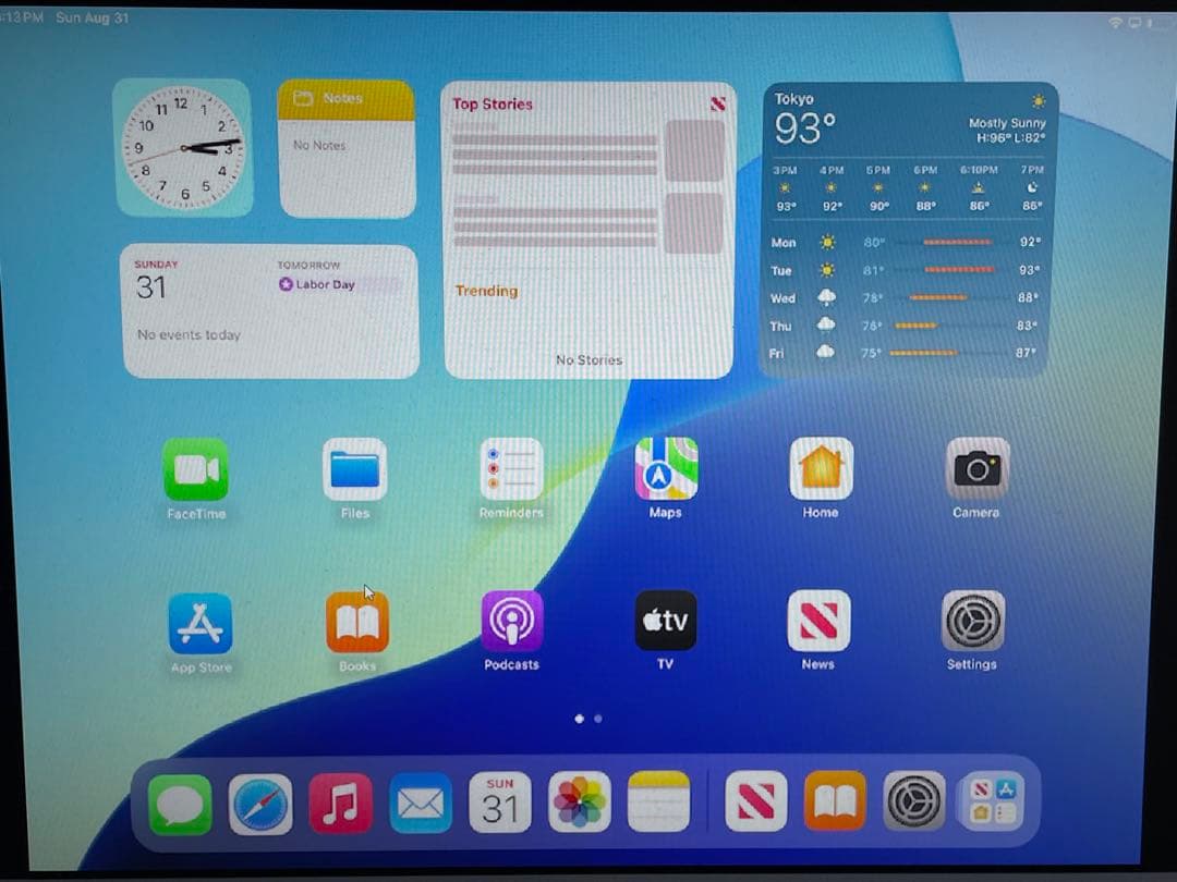 【ジャンク】iPad (第7世代) 128GB Wi-Fi