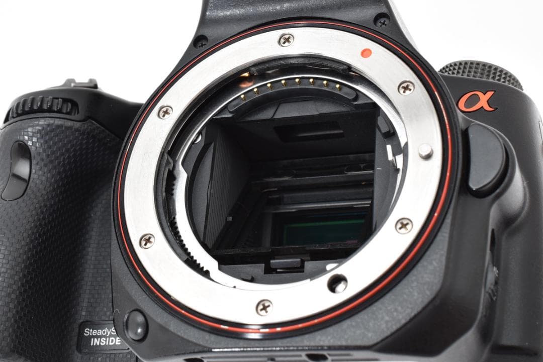 ソニー SONY α55 SLT-A55VY ダブルズームレンズキット