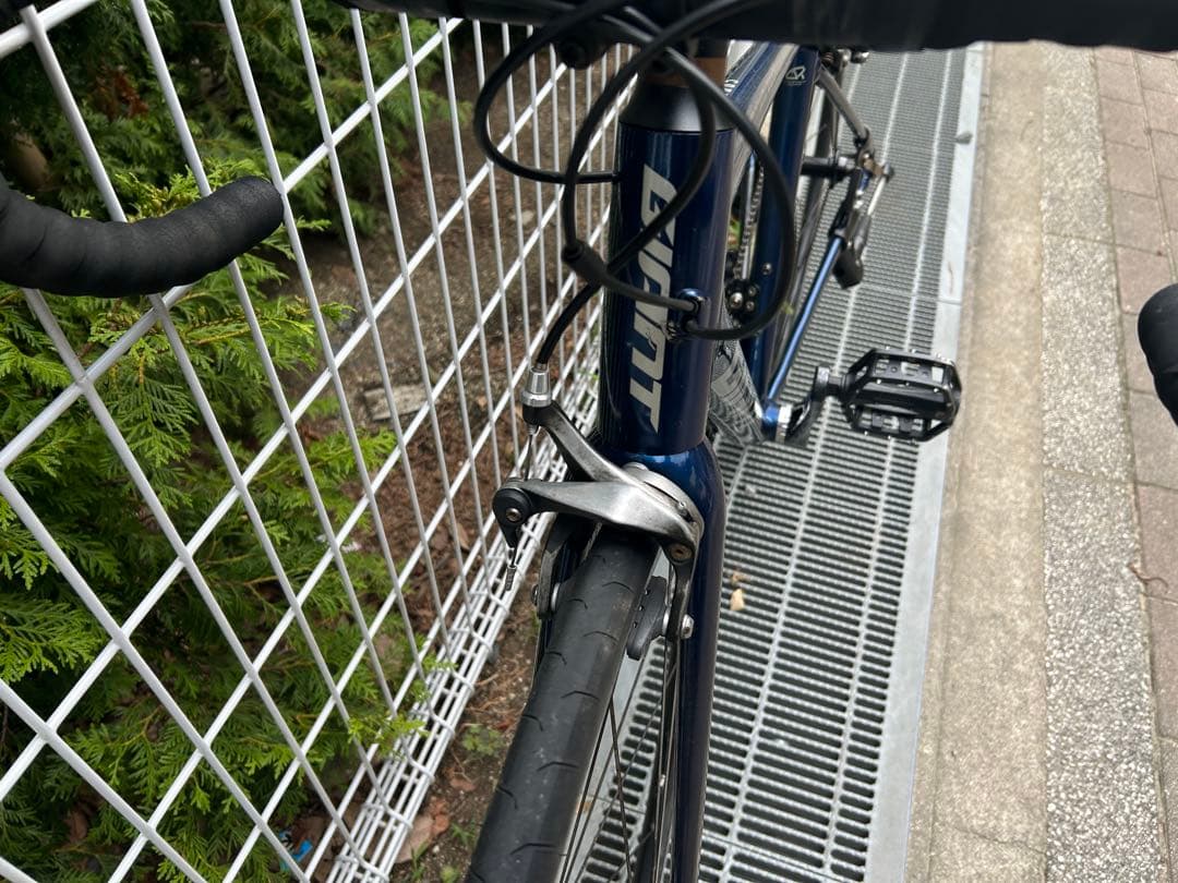 giant contend 1 ネイビー