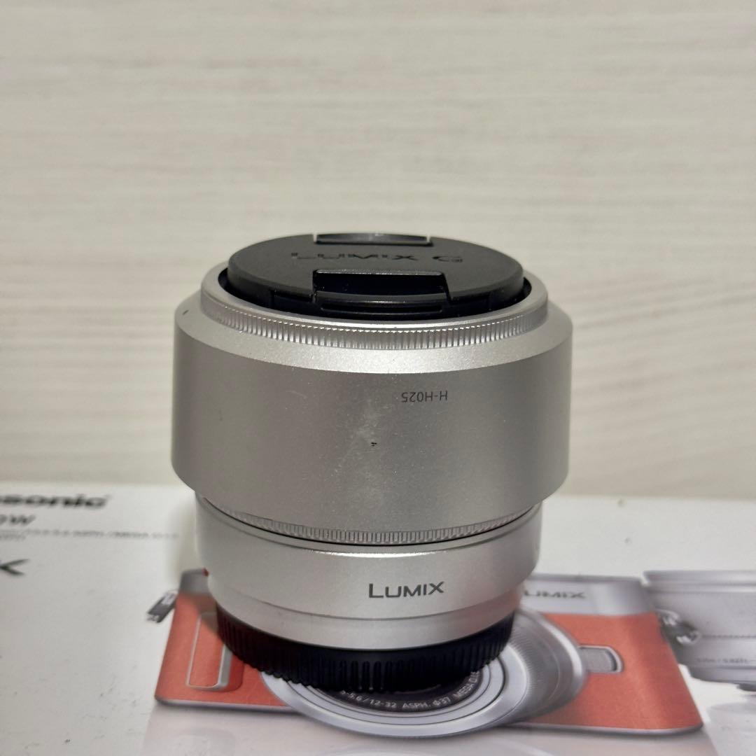 PanasonicLUMIX G DC-GF10Wダブルレンズキッドホワイト4K