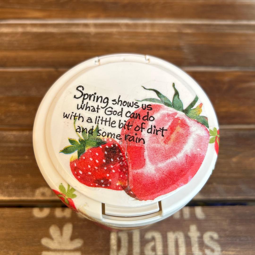 売切れ　リメイク　綿棒ケース　 大きな苺とおねむなうさぎさん