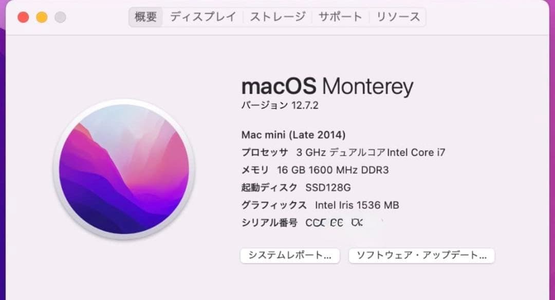 2ストレージ SSD起動メモリ16GB Macmini 3GHz Core i7