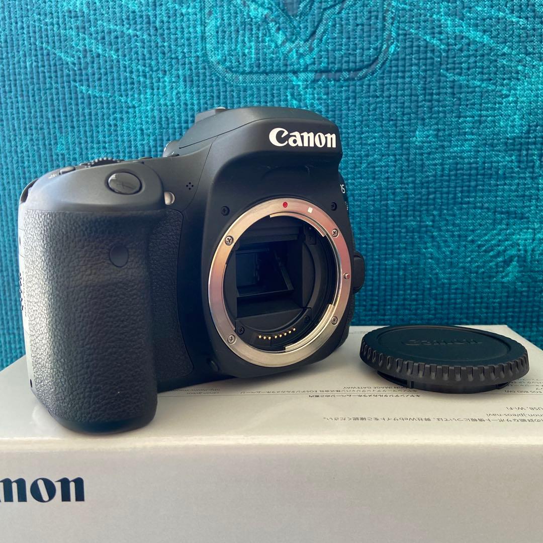 美品！Canon EOS 80D ボディ 動作良好 一眼レフ