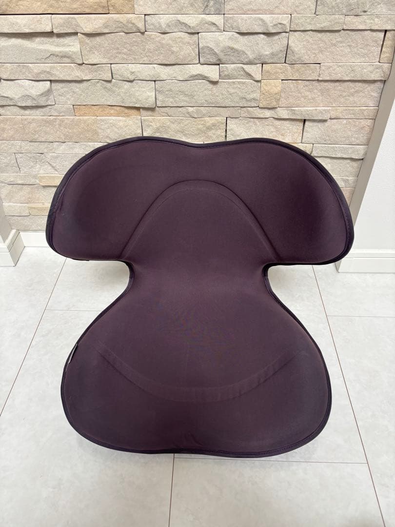 良品！！ スタイルスマート MTG Style SMART 骨盤矯正 姿勢矯正