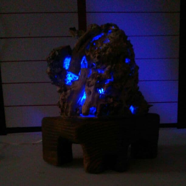 ザクロの古木インテリアライト