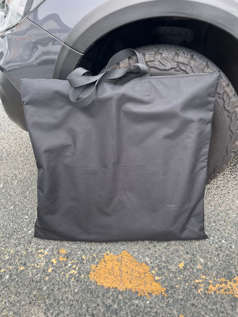 アッソブ　ローバーチェア　専用ピロー、収納カバー付属