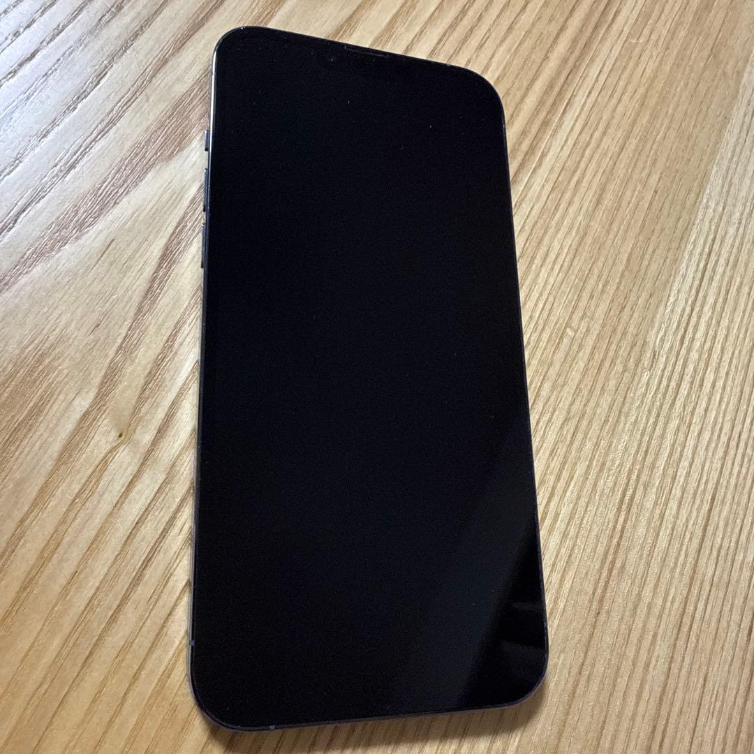 Apple iPhone 13 Pro Max シエラブルー 本体 おまけ付き