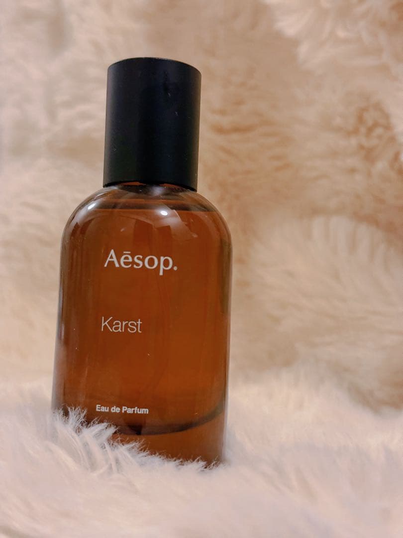 Aesop Karst 【超美品】