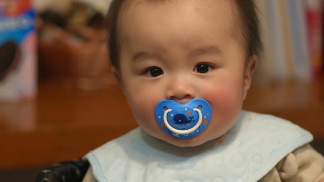 「実用品」 ライカ leica Elmarit-R 135mm f2.8 2カム