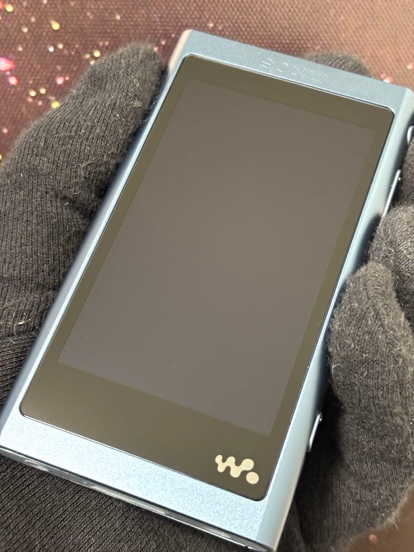 未使用品 SONY ウォークマン NW-A55HN Walkman 通電OK