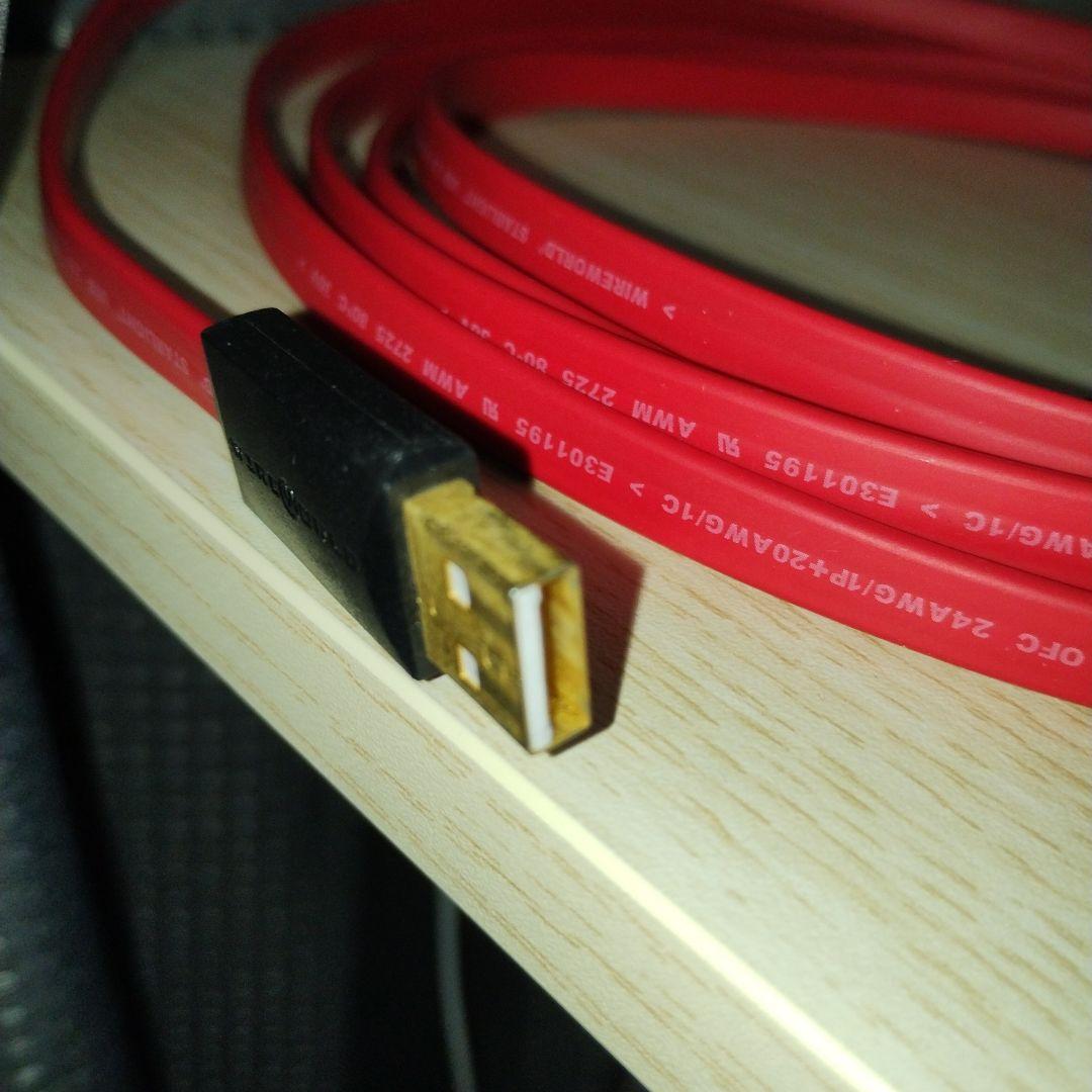 WIREWORLD STARLIGHT USB2.0 オーディオケーブル 3m