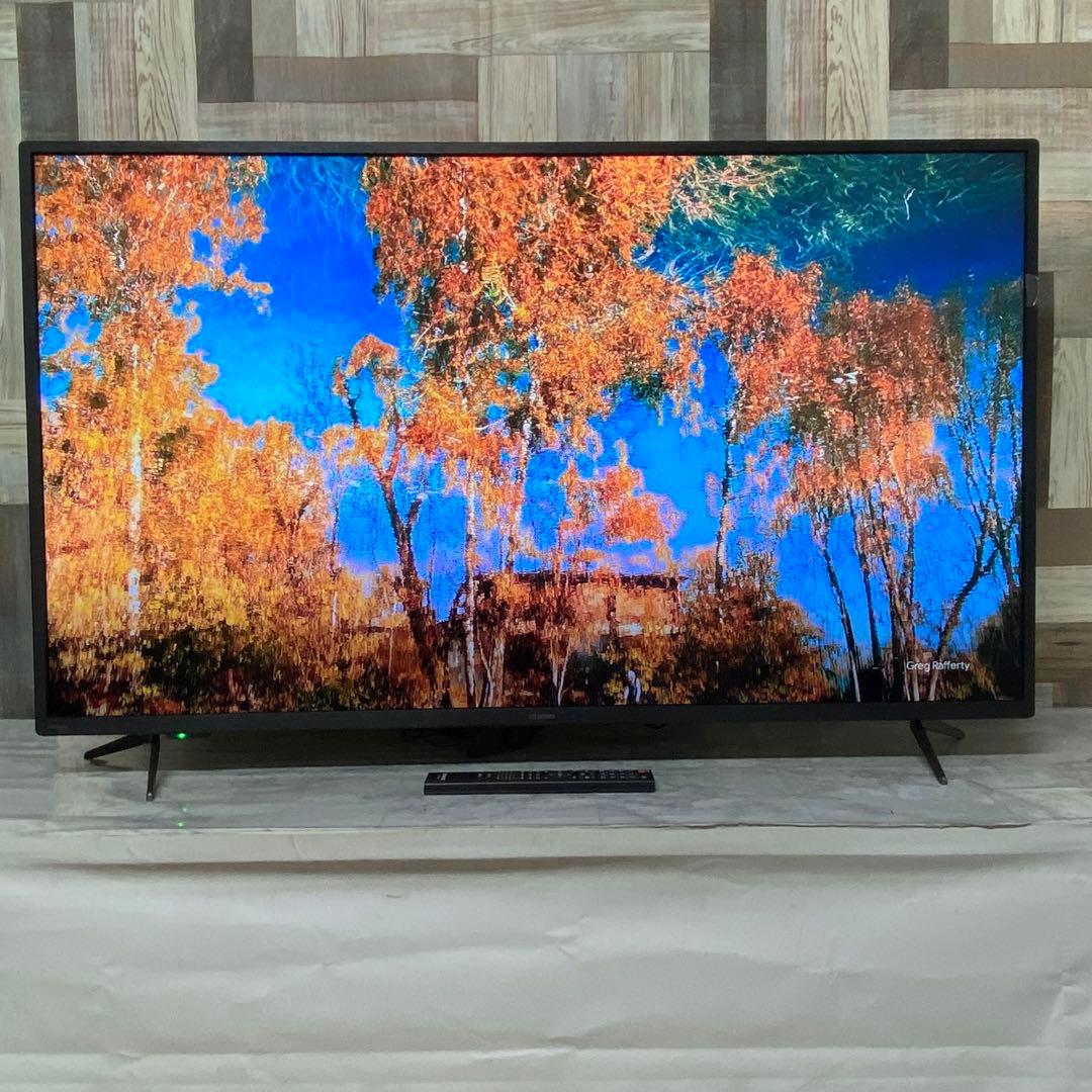 即日受渡❣️全国送料込昨年購入アイリスオーヤマ 50型4K液晶モニタースピーカー付