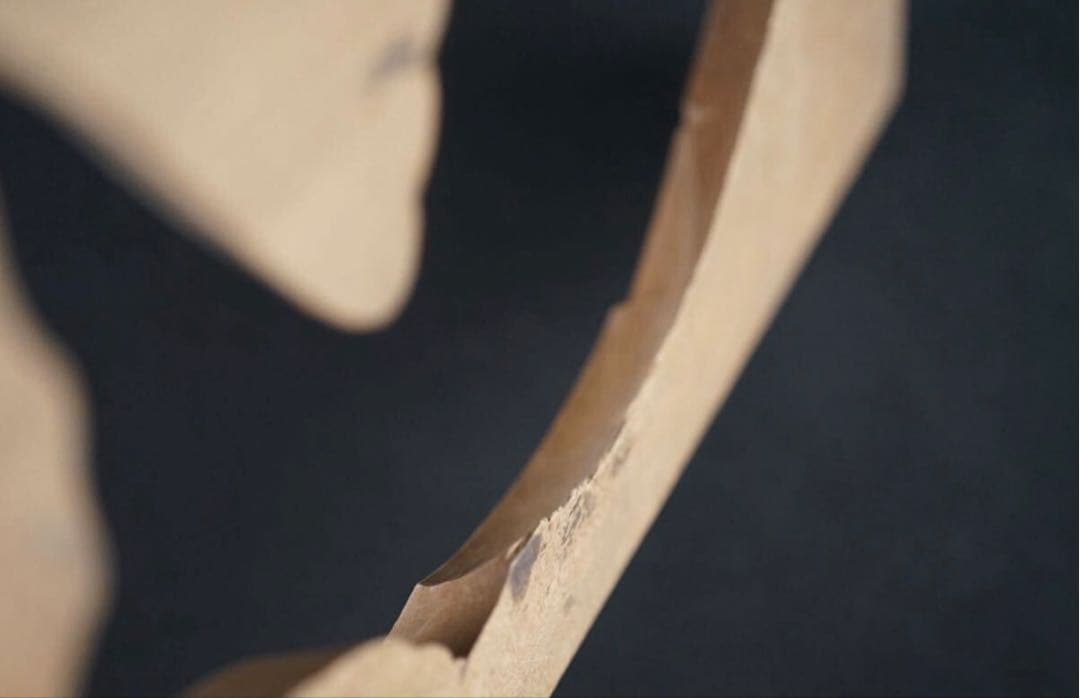 菓子型 特大型の鯛 タイ 35.9×16cm 和菓子 古道具 アンティーク 木彫