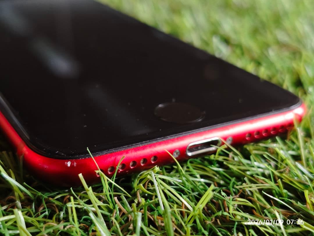 Apple iPhone SE (第3世代) レッド