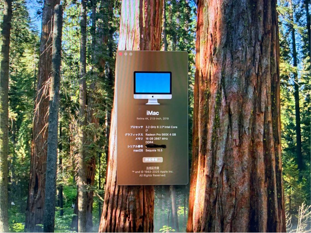 iMac 21.5インチ 2019｜16GB /1TB / RETINA 4K