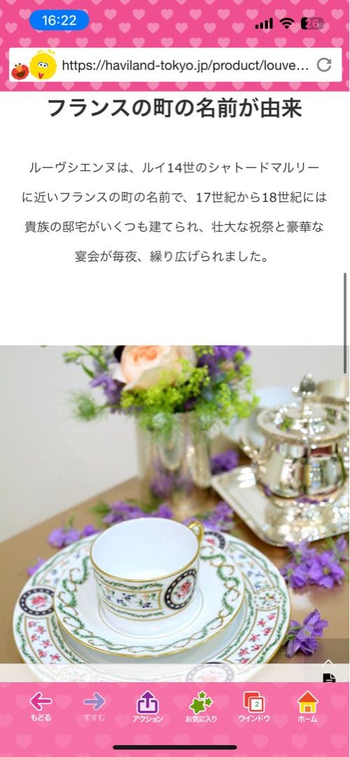 M_TKHS Haviland リモージュ ルーブシエンヌ　6枚セット中皿