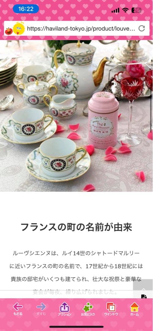 M_TKHS Haviland リモージュ ルーブシエンヌ　6枚セット中皿