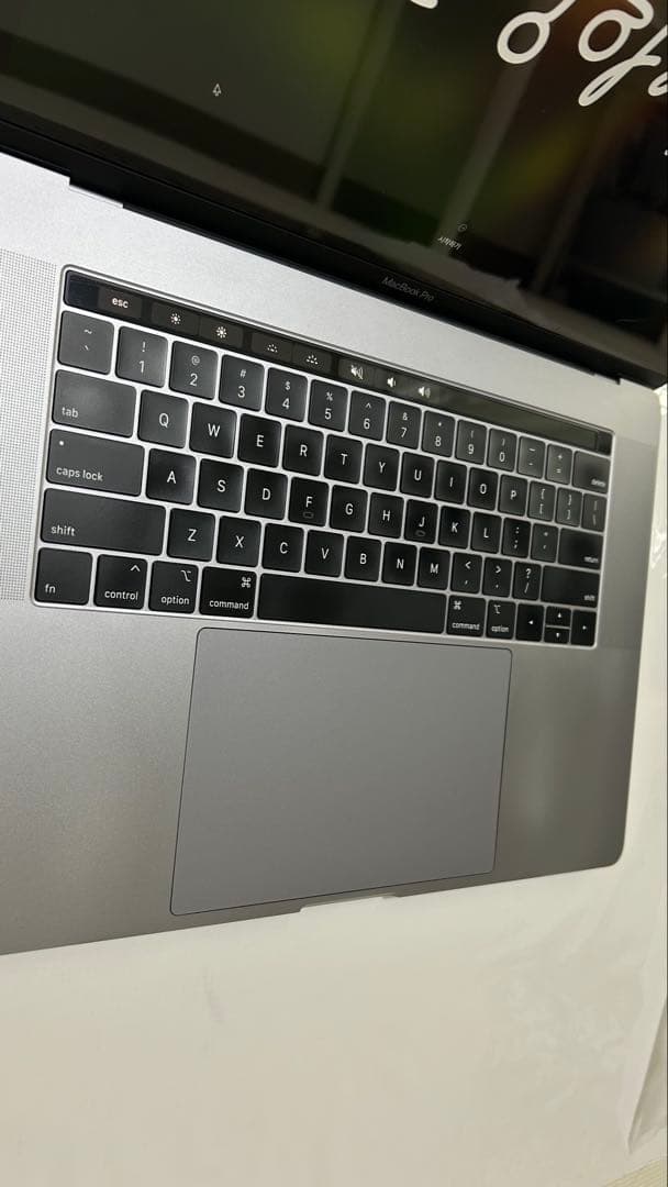 Macbook Pro 2019 16GB 15インチ usキーボード i9