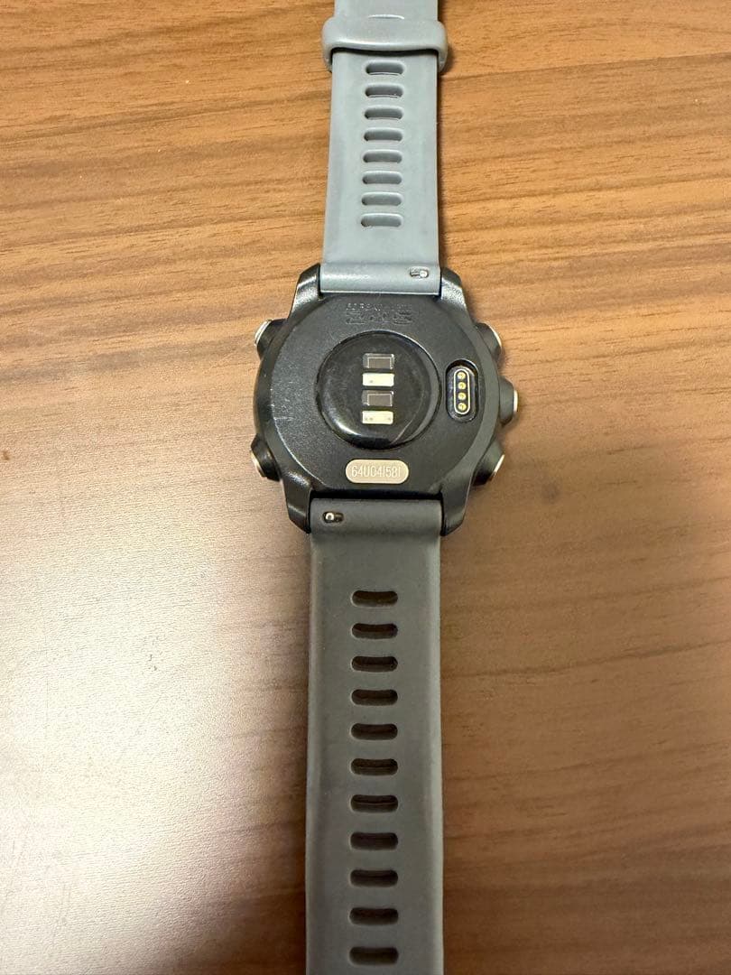 Garmin ガーミン245