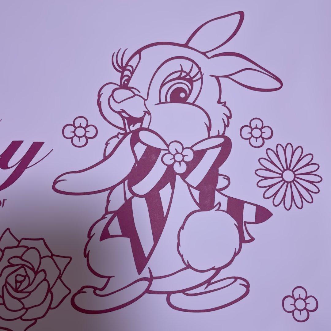 【匿名配送】Miss Bunny 書類ケース　マルチケースA4OK 昭和レトロ