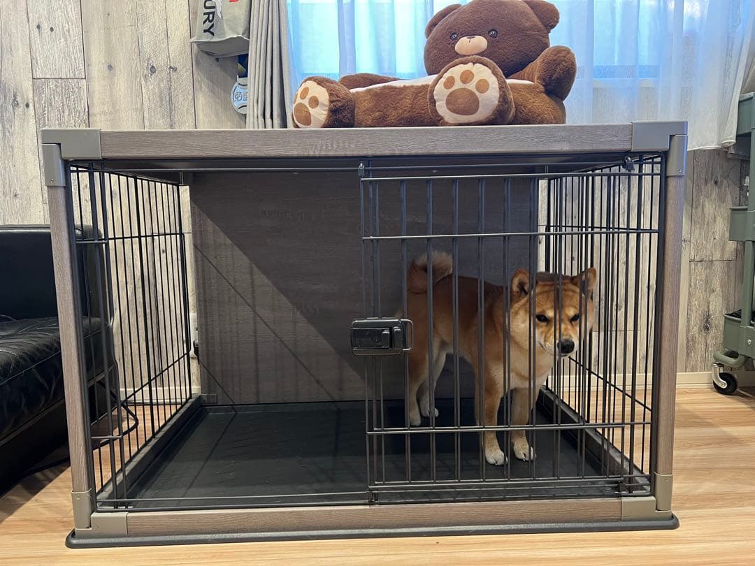 犬用ケージ　IRIS OHYAMA