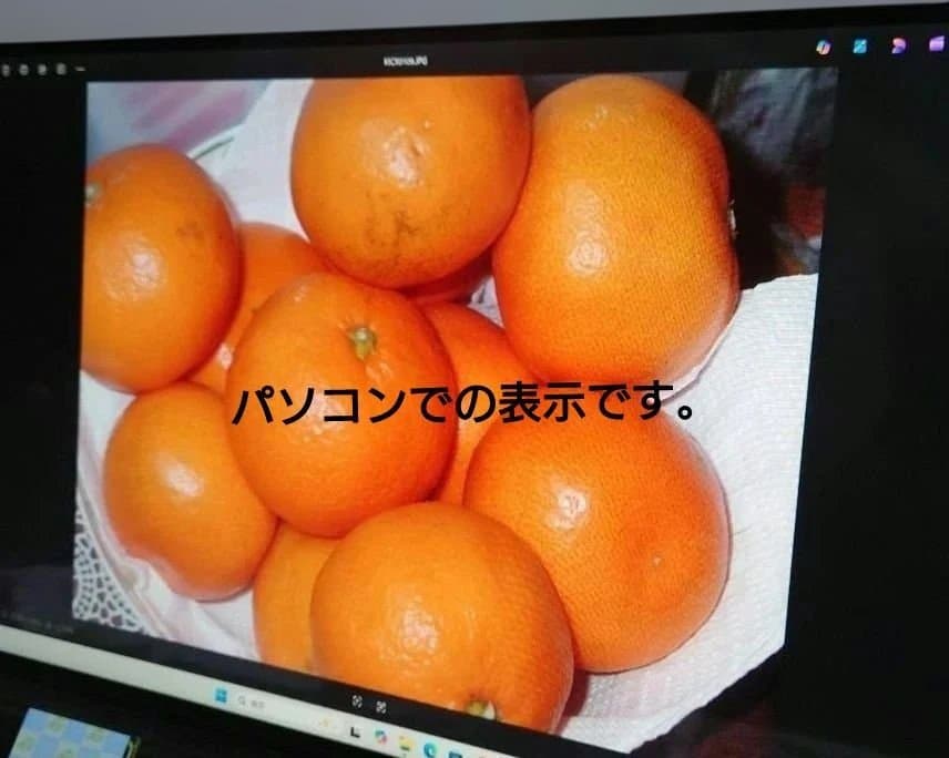 中古かつ動作品かつ美品「CONTAX TVS DIGITAL」＋付属品