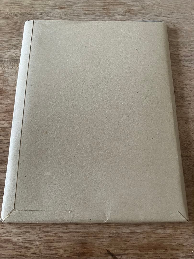 ゴーシャラブチンスキー 写真集