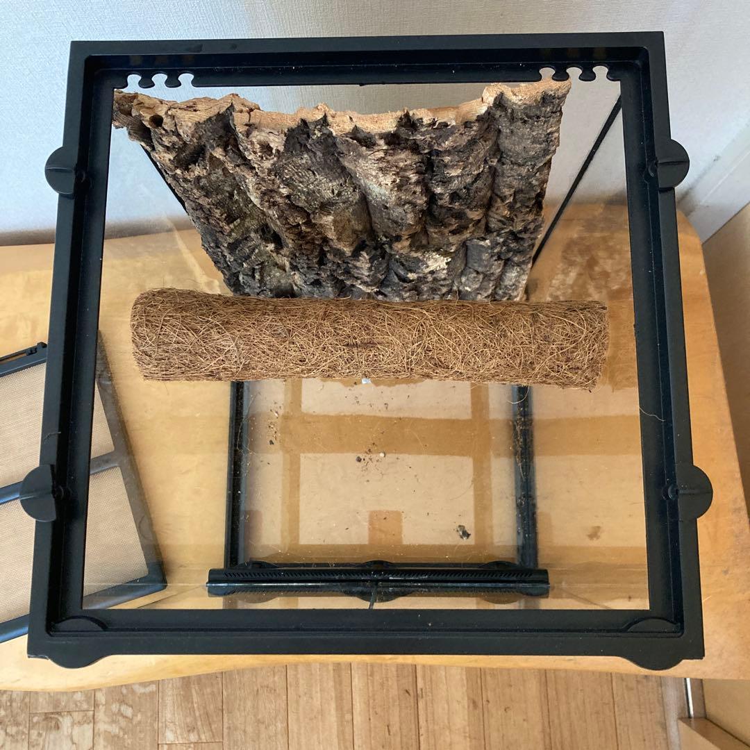 エキゾテラ　GEX　グラテラ3045 中古