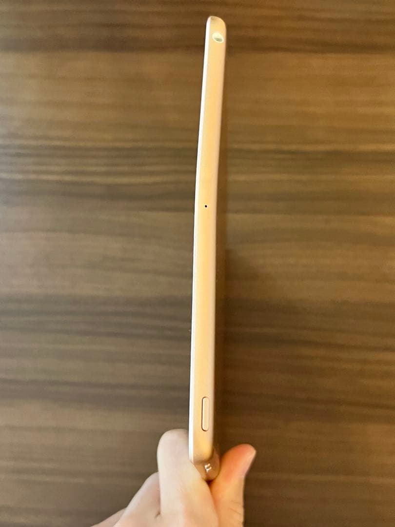 【美品】iPad 第6世代 ゴールド 本体 充電器・カバー付 Wi-Fiモデル