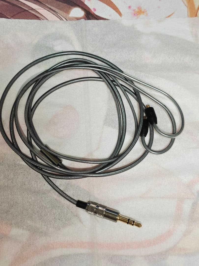 JVC HA-FD01 リケーブル可能イヤホン