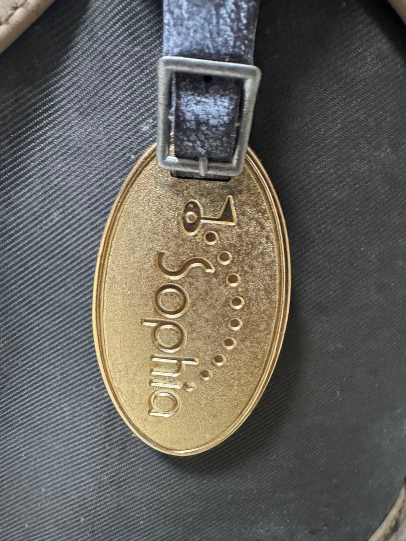 ゴルフバッグ・キャディバッグ ブラウンと黒