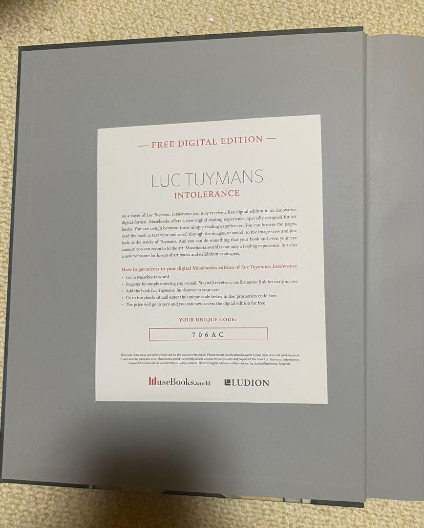 Luc Tuymans アートブックIntolerance