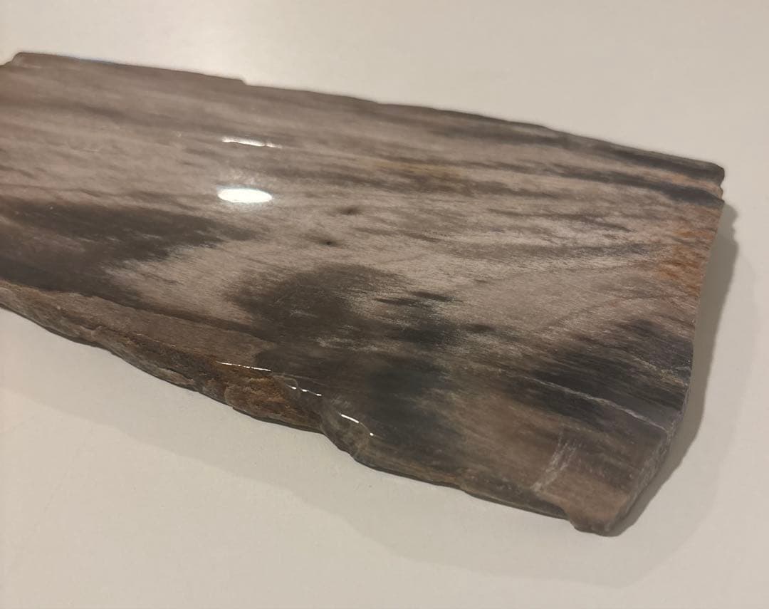 天然石オブジェ／化石化した木片（結晶あり）インテリア・撮影小