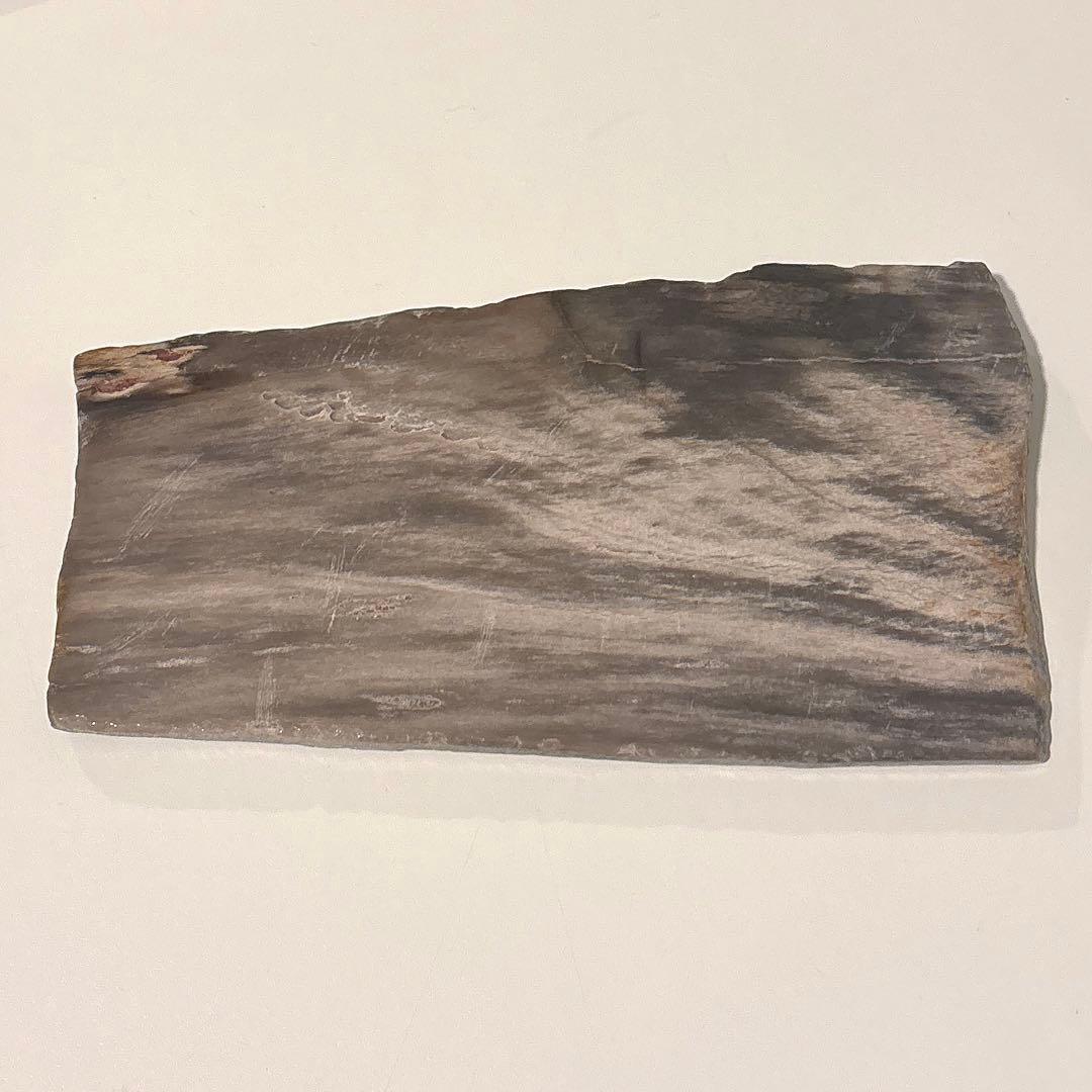 天然石オブジェ／化石化した木片（結晶あり）インテリア・撮影小