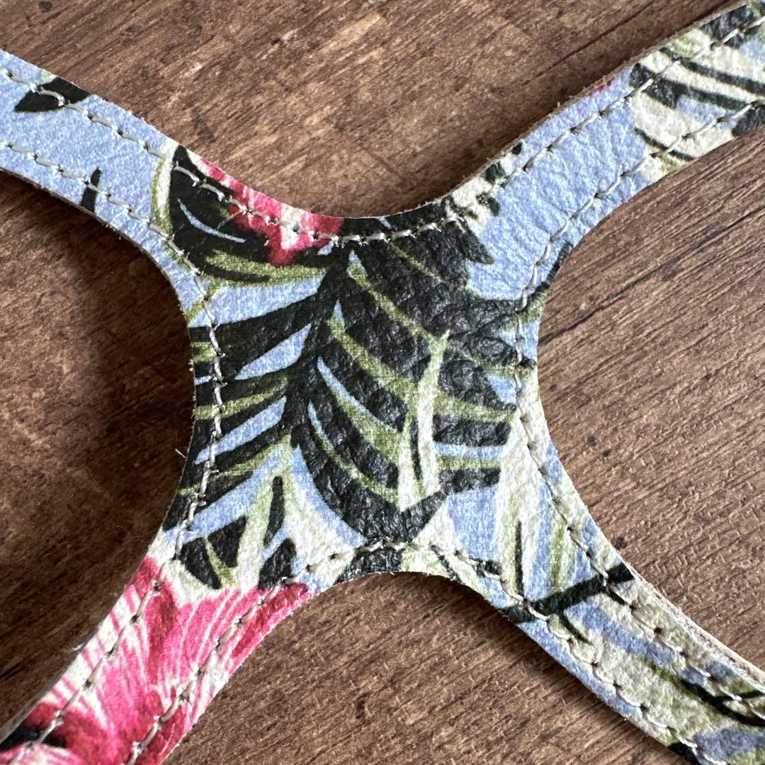 バディベルト　 BB バハマ 5号　 アクセントリード