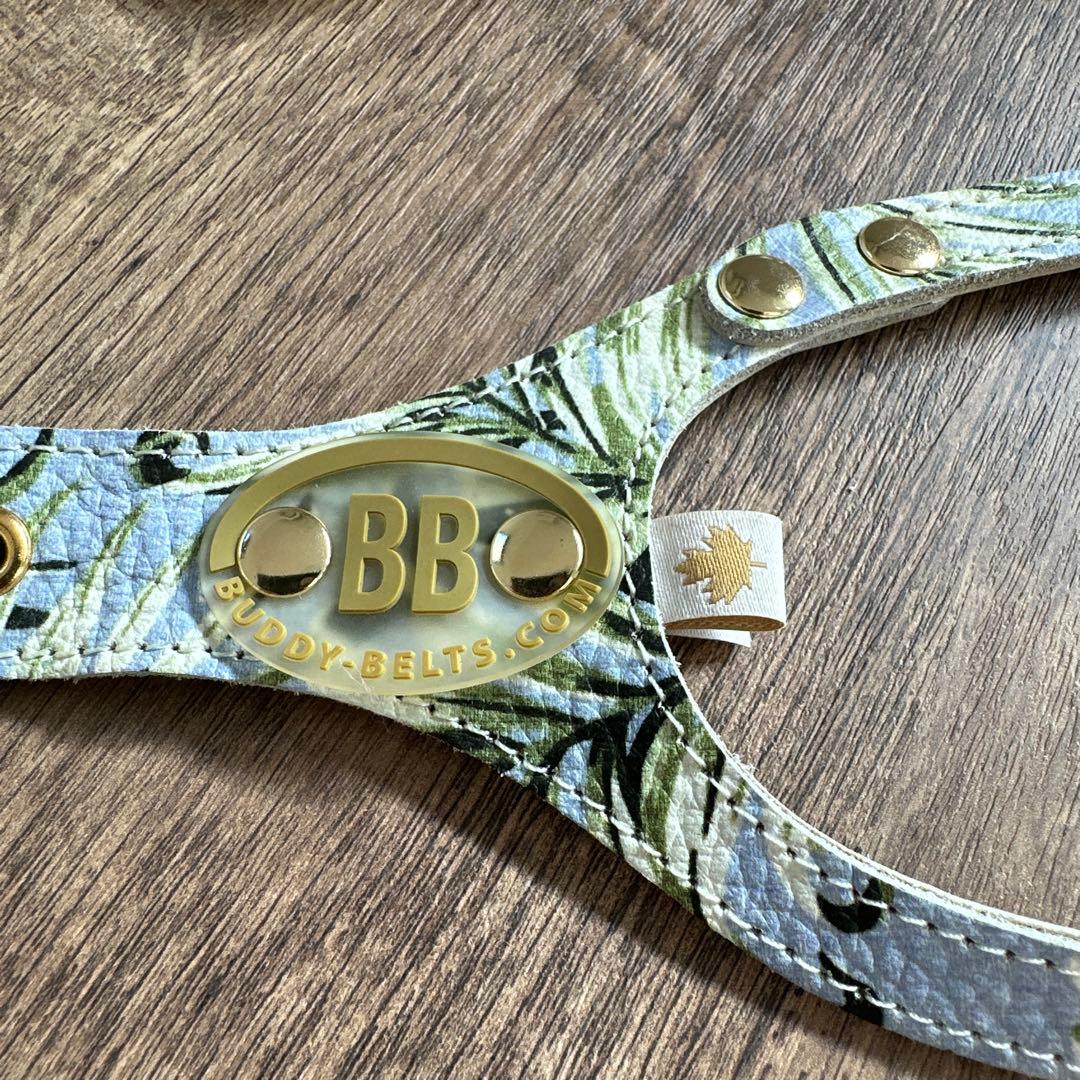 バディベルト　 BB バハマ 5号　 アクセントリード