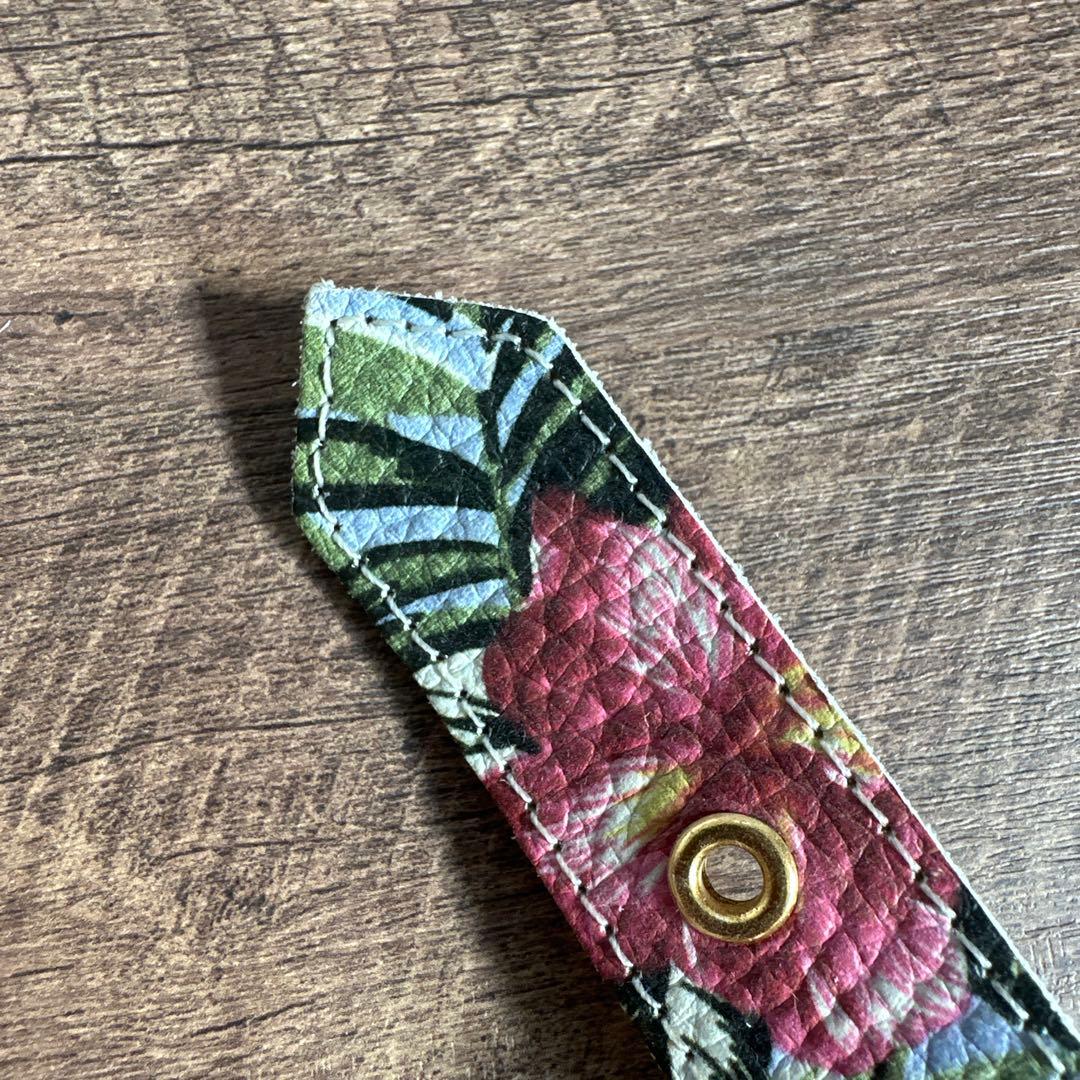 バディベルト　 BB バハマ 5号　 アクセントリード