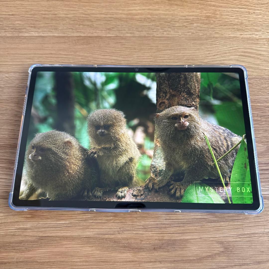 ★美品★Lenovo Xiaoxin Pad Pro 12.7 2nd 2025