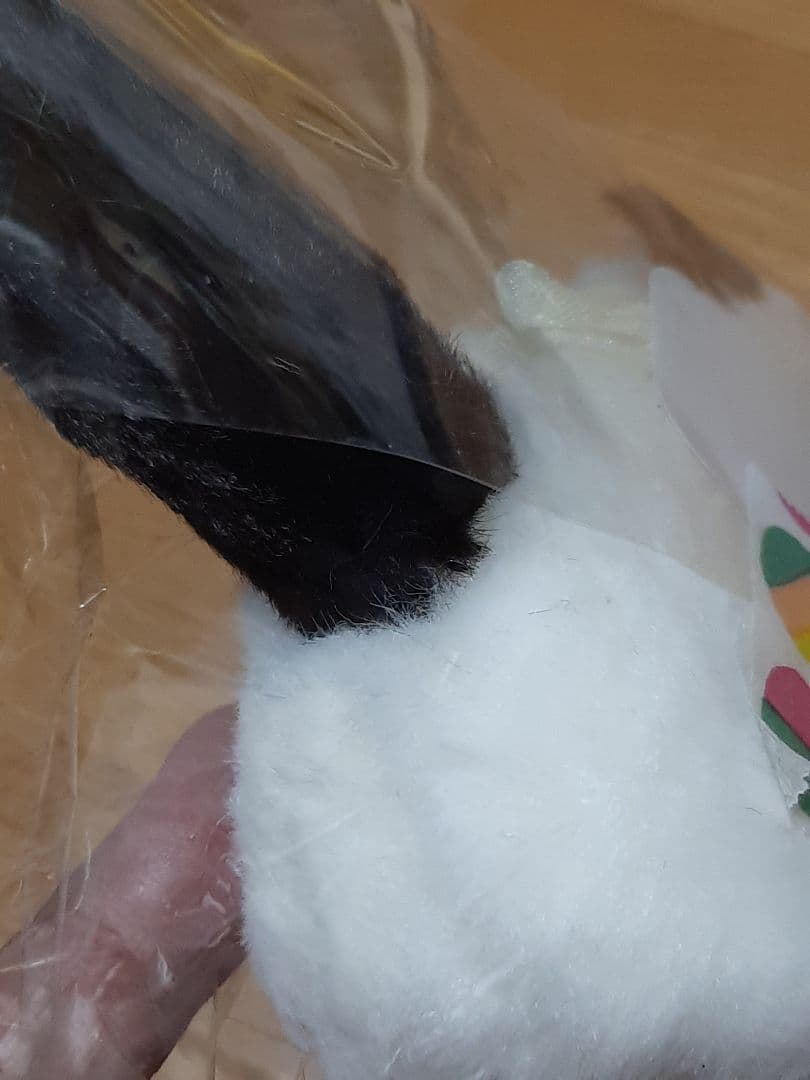 さてさん　作家　猫のぬいぐるみ‼️