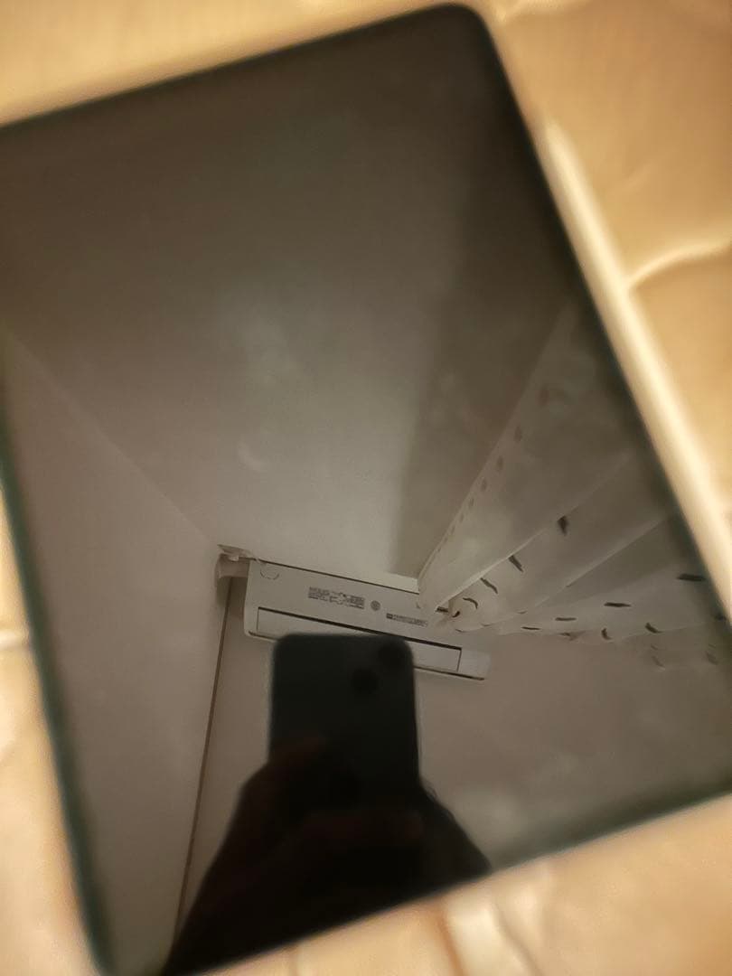 iPad Pro 11 64GB Apple Pencil2 画面微色ズレあり