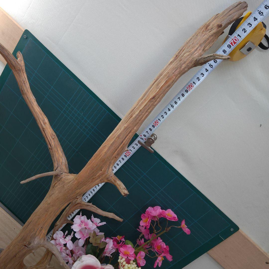 ８３５天然流木生け花素材７７cm