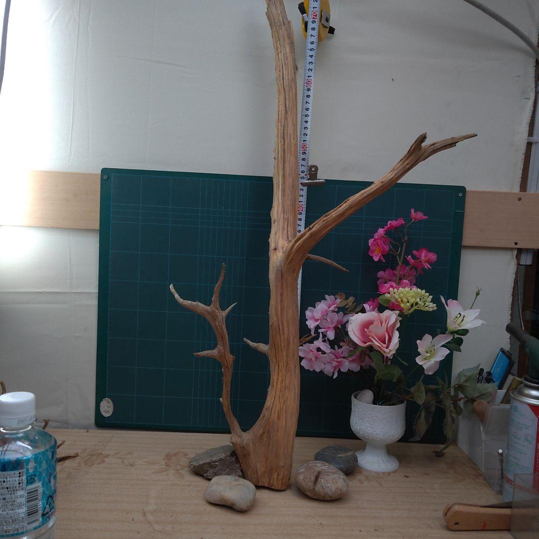 ８３５天然流木生け花素材７７cm