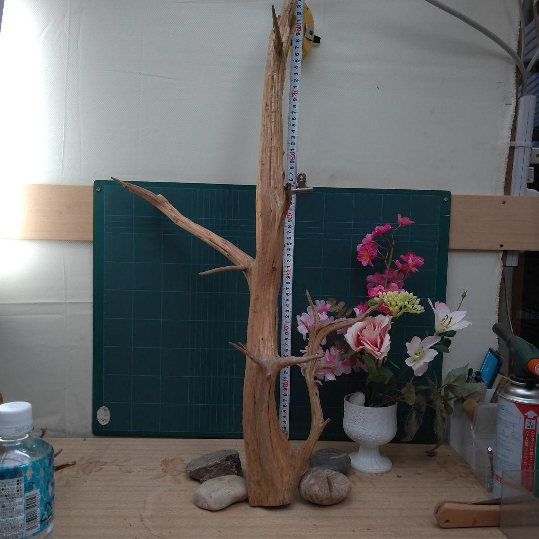８３５天然流木生け花素材７７cm