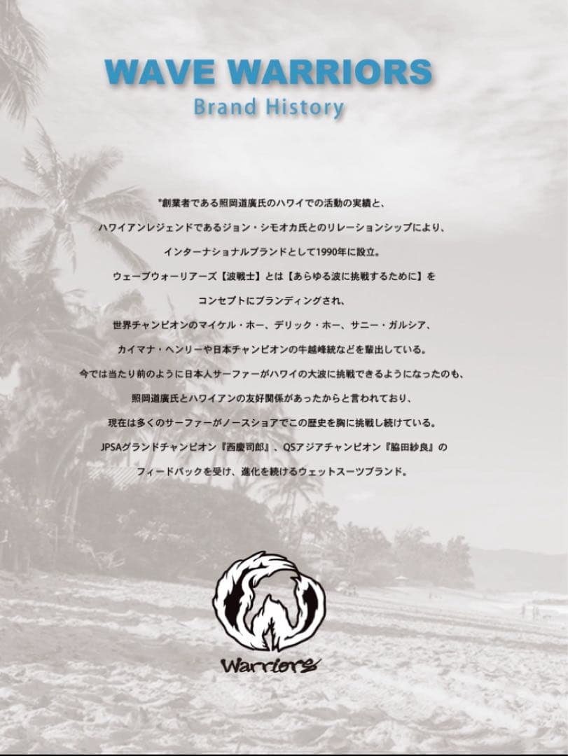 WAVEWARRIORS セミドライウェットスーツ