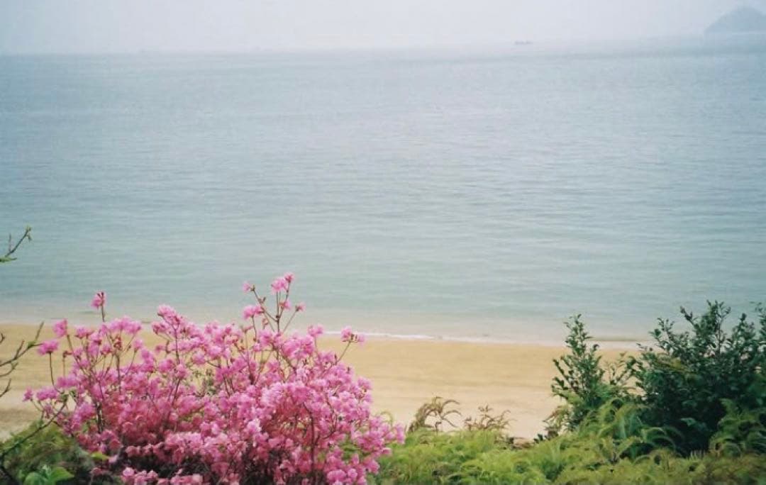 PENTAX ESPIO160 美品