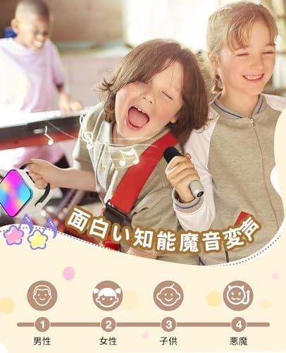 カラオケマイク Bluetoothマイク２本 日本語取扱説明書付き