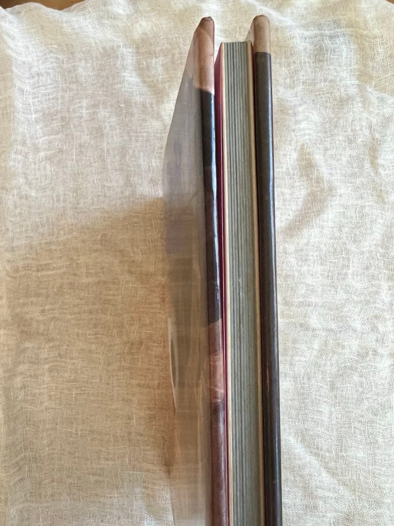 SNOOPYINFASHION スヌーピーインファッション 写真集　ぬいぐるみ